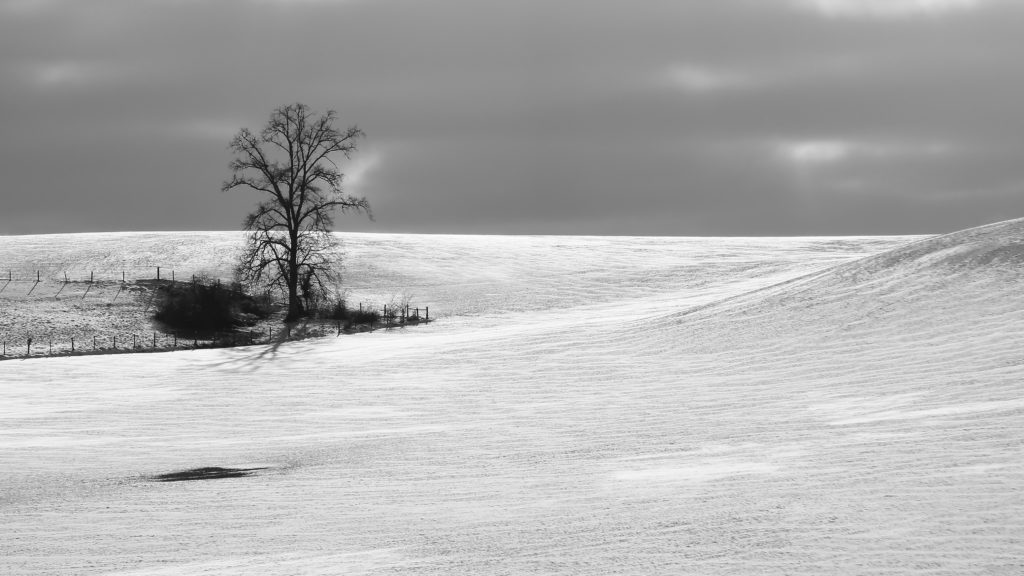 paysage hivernal noir et blanc