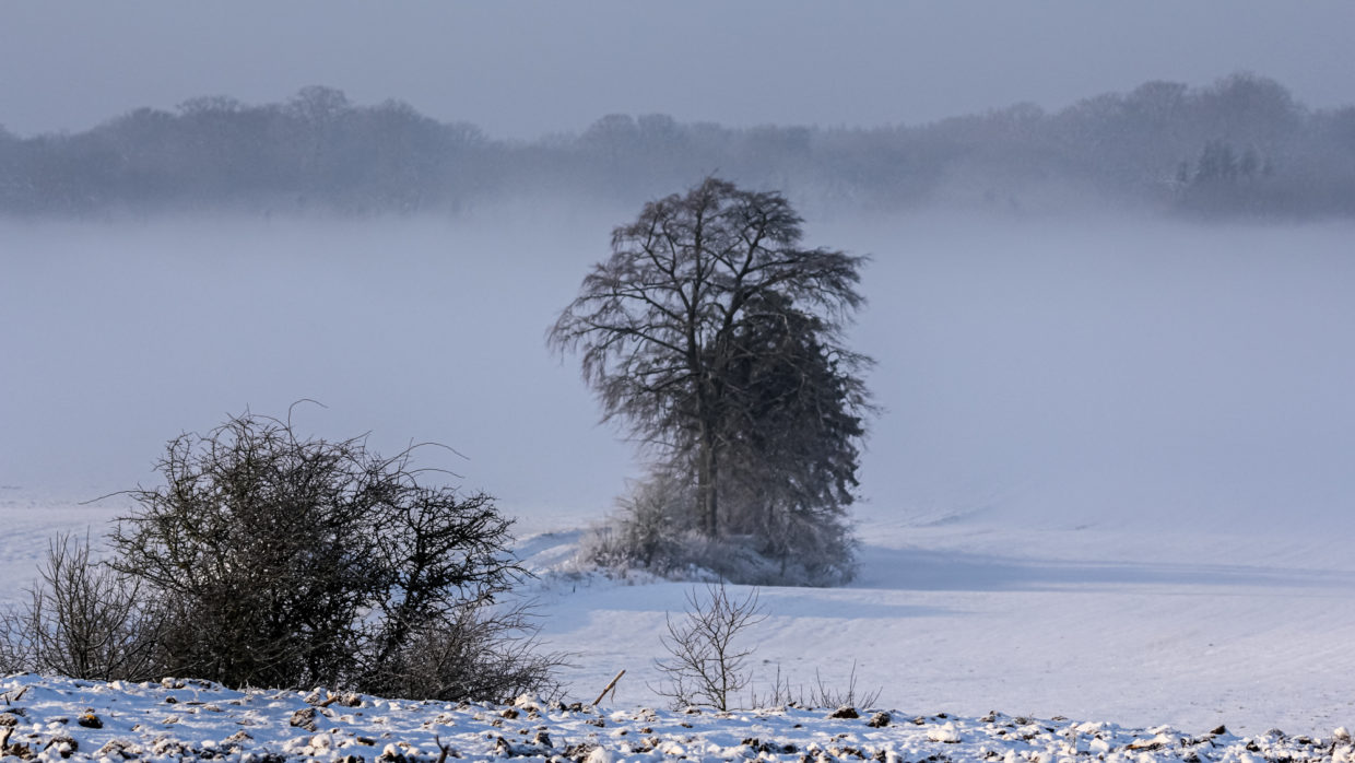 paysage hivernal